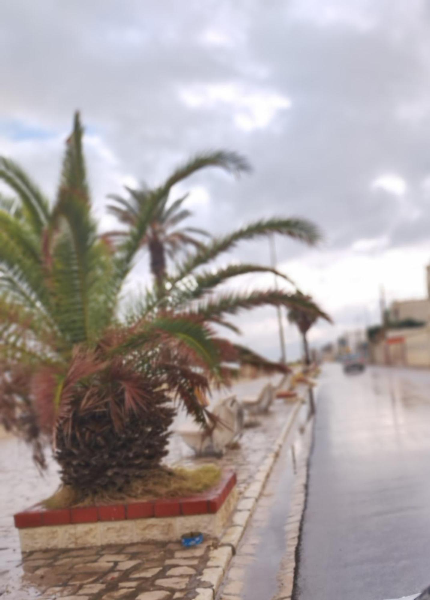 Appartement Hammam-Lif Les Cyclamens Tunisie Afrique Zewnętrze zdjęcie
