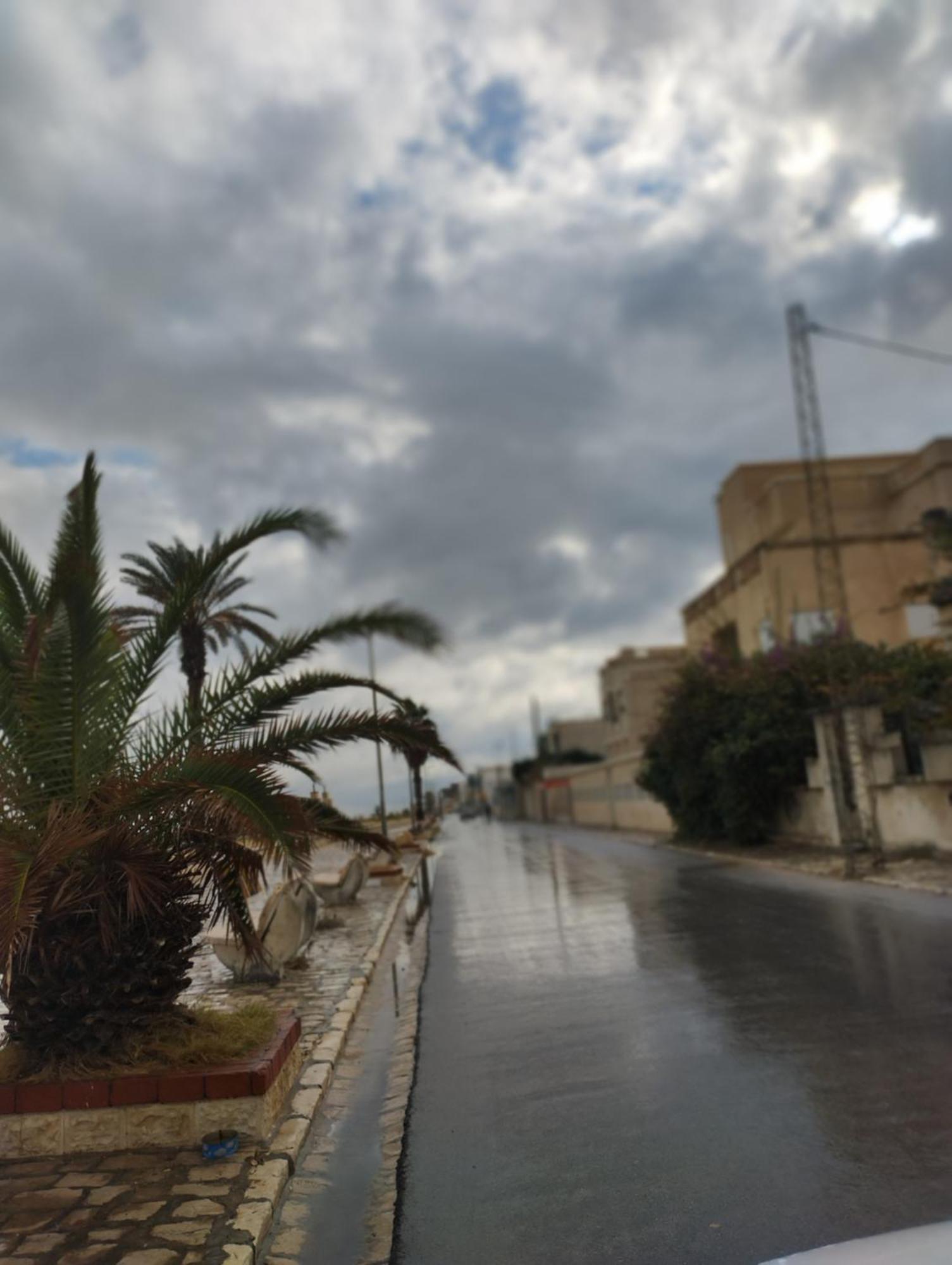 Appartement Hammam-Lif Les Cyclamens Tunisie Afrique Zewnętrze zdjęcie