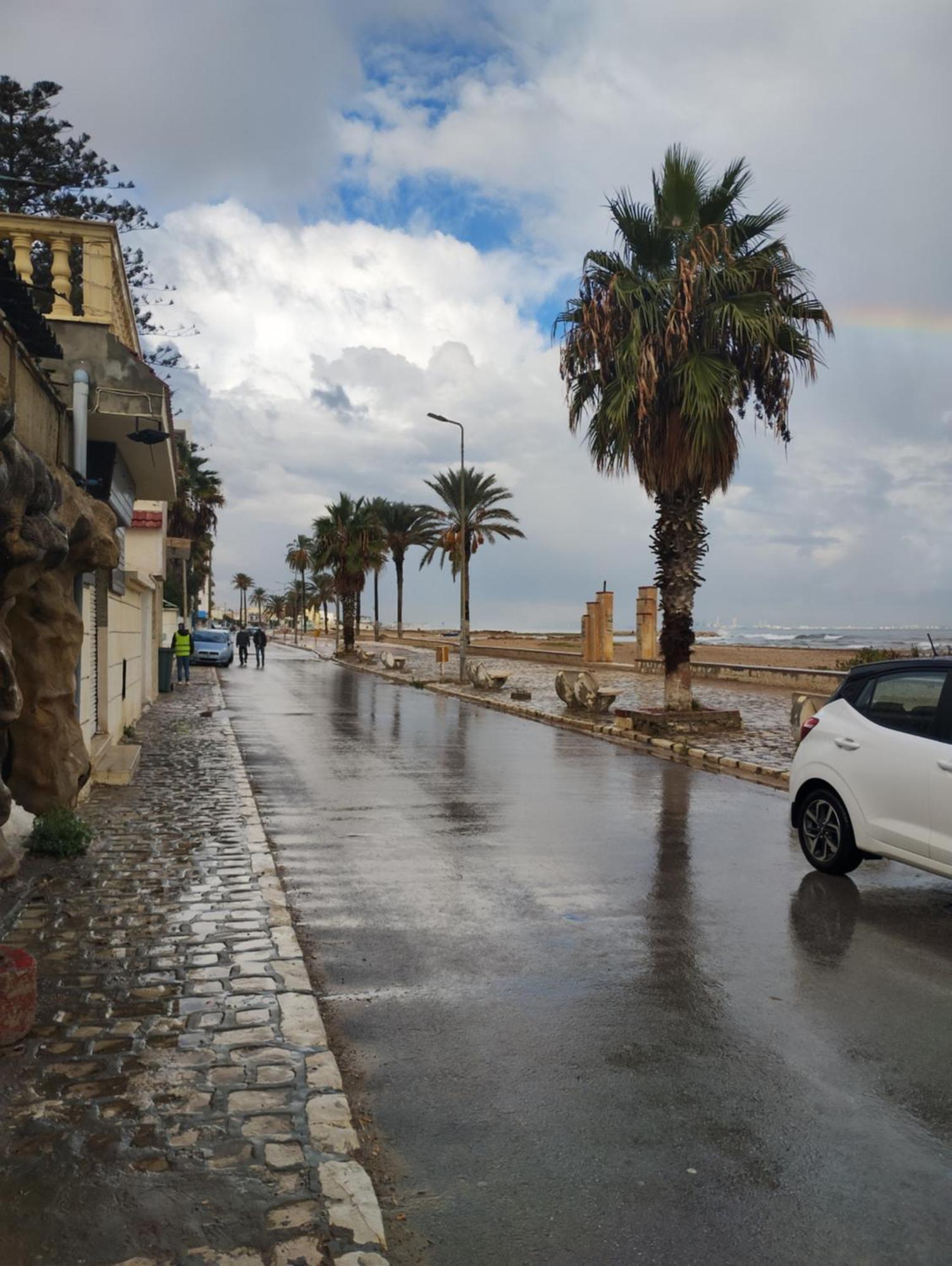 Appartement Hammam-Lif Les Cyclamens Tunisie Afrique Zewnętrze zdjęcie